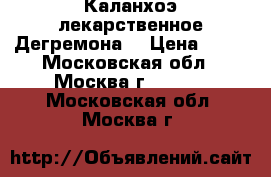 Каланхоэ лекарственное Дегремона  › Цена ­ 10 - Московская обл., Москва г.  »    . Московская обл.,Москва г.